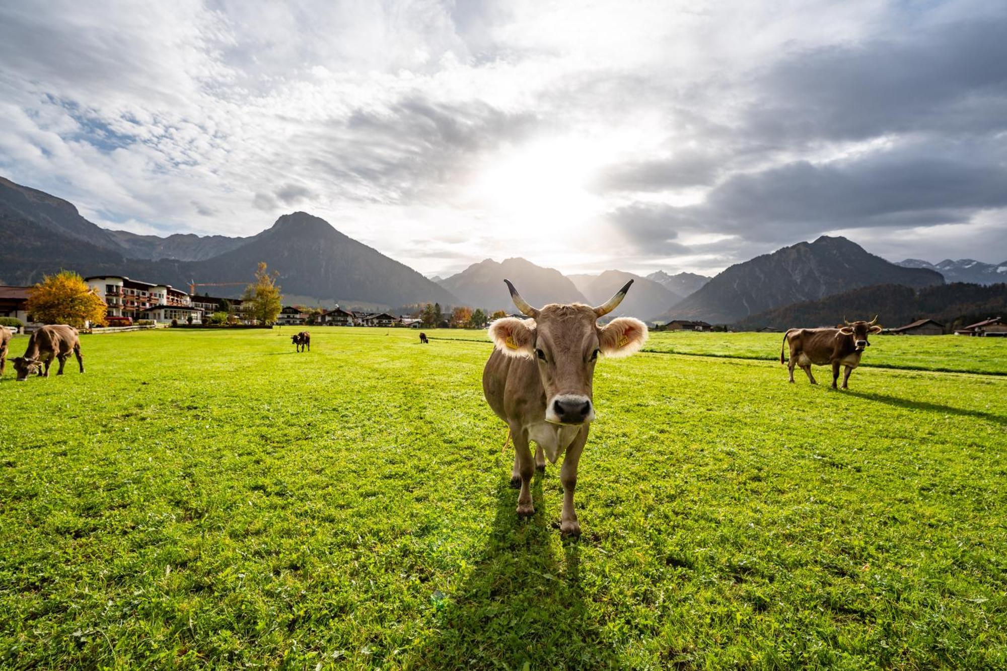 Best Western Plus Hotel Alpenhof オーベルストドルフ エクステリア 写真